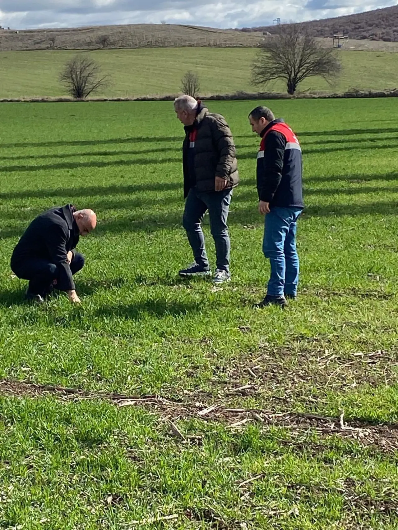 Hububat Alanlarında Hastalık Taraması 2