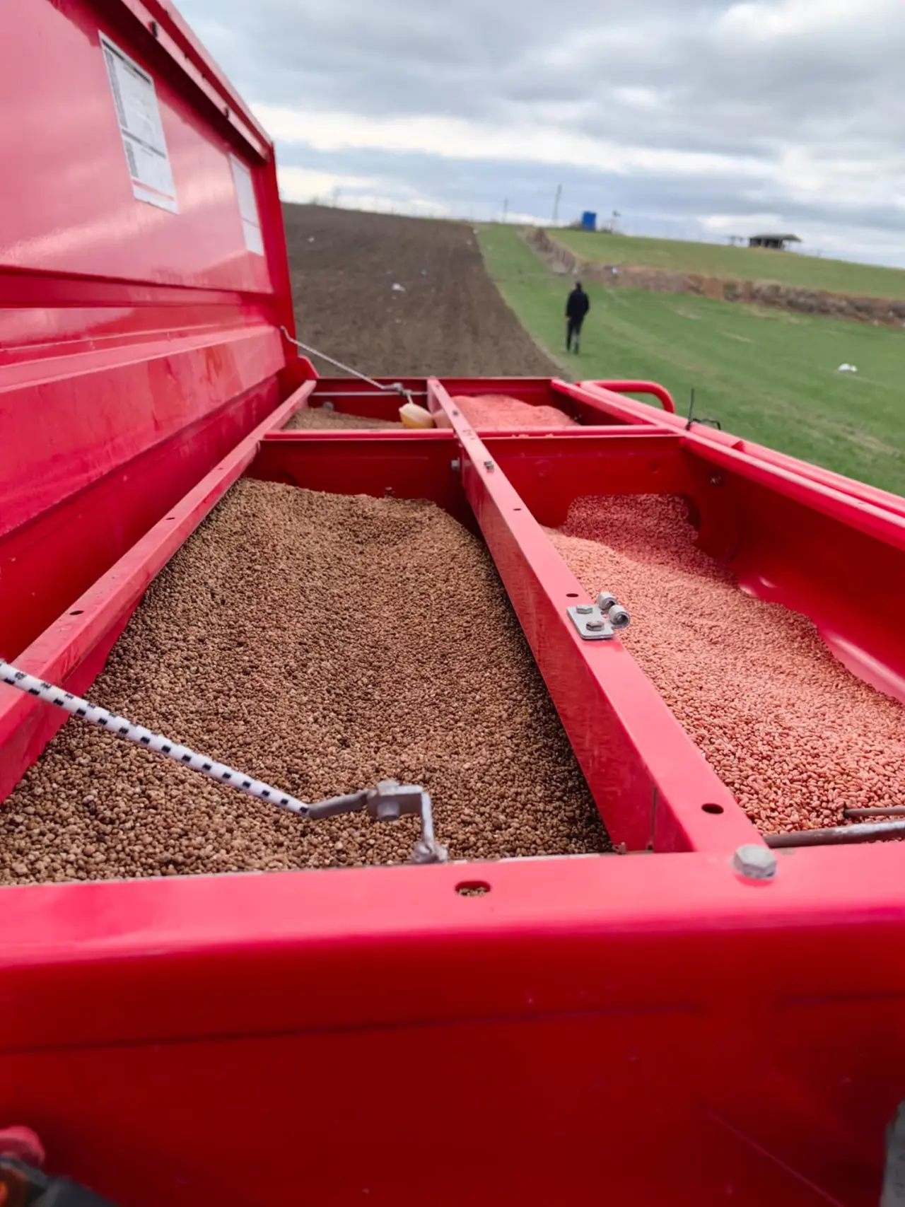 Yerli ve Milli Buğday Çeşidi Çorum’da Toprakla Buluştu 5