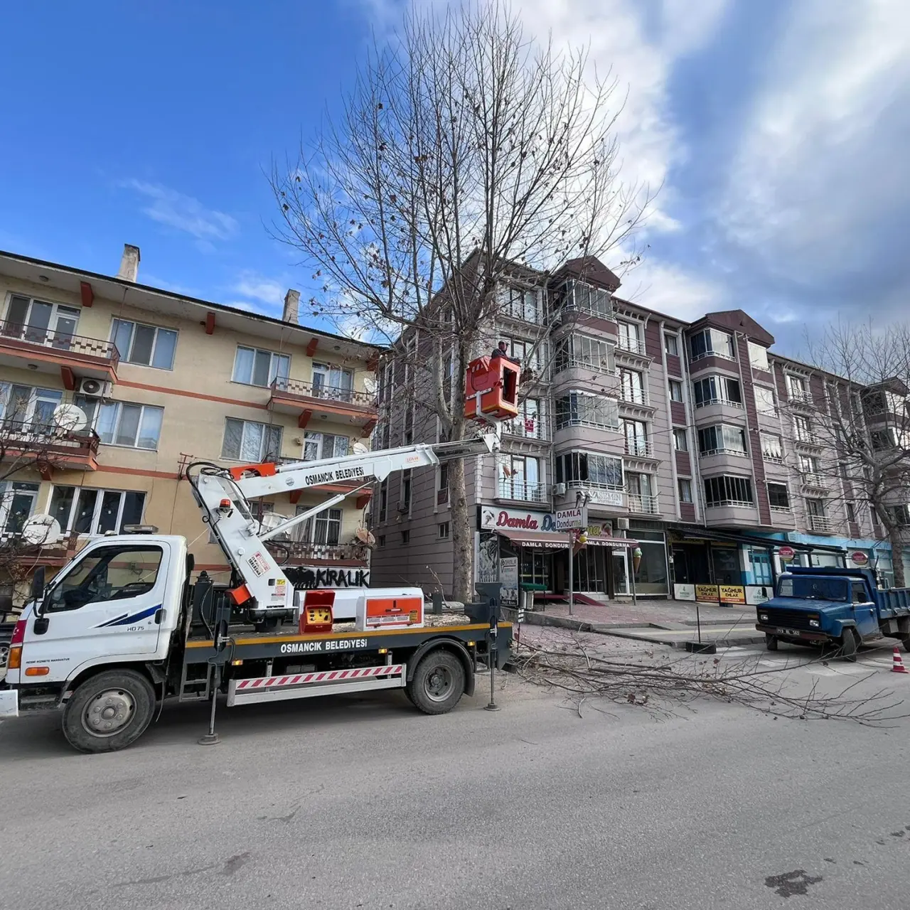 Yeşil Alan Ve Parklarda Bakım Çalışmaları Sürüyor 2