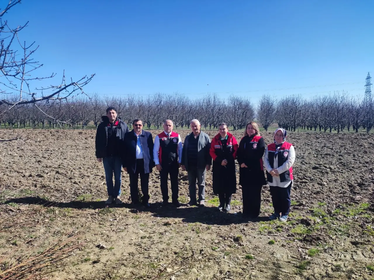 Kiraz ve Bağ Üreticilerine Tarlada Budama Eğitimi 2