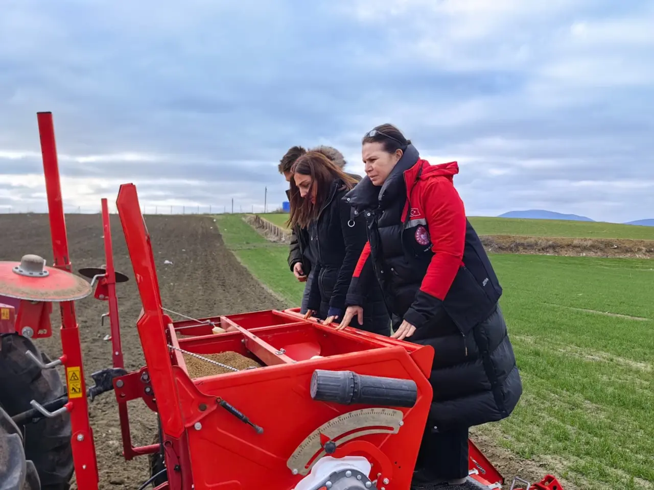 Yerli ve Milli Buğday Çeşidi Çorum’da Toprakla Buluştu 2