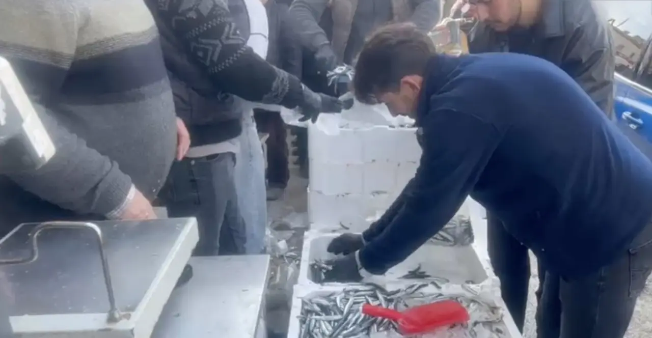 1 Ton 700 Kilogram Balığı Ücretsiz Dağıttılar 2