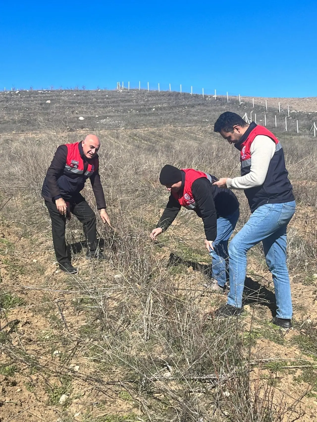 Aronya Üretimi Destekleniyor 2