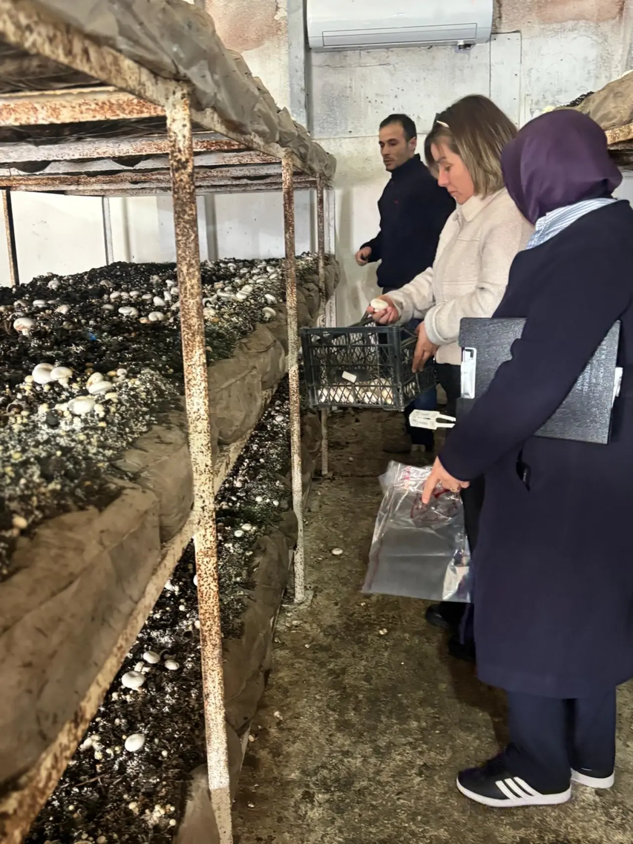 Zehirsiz Sofralar İçin Tarlada Kalıntı Mesaisi 1