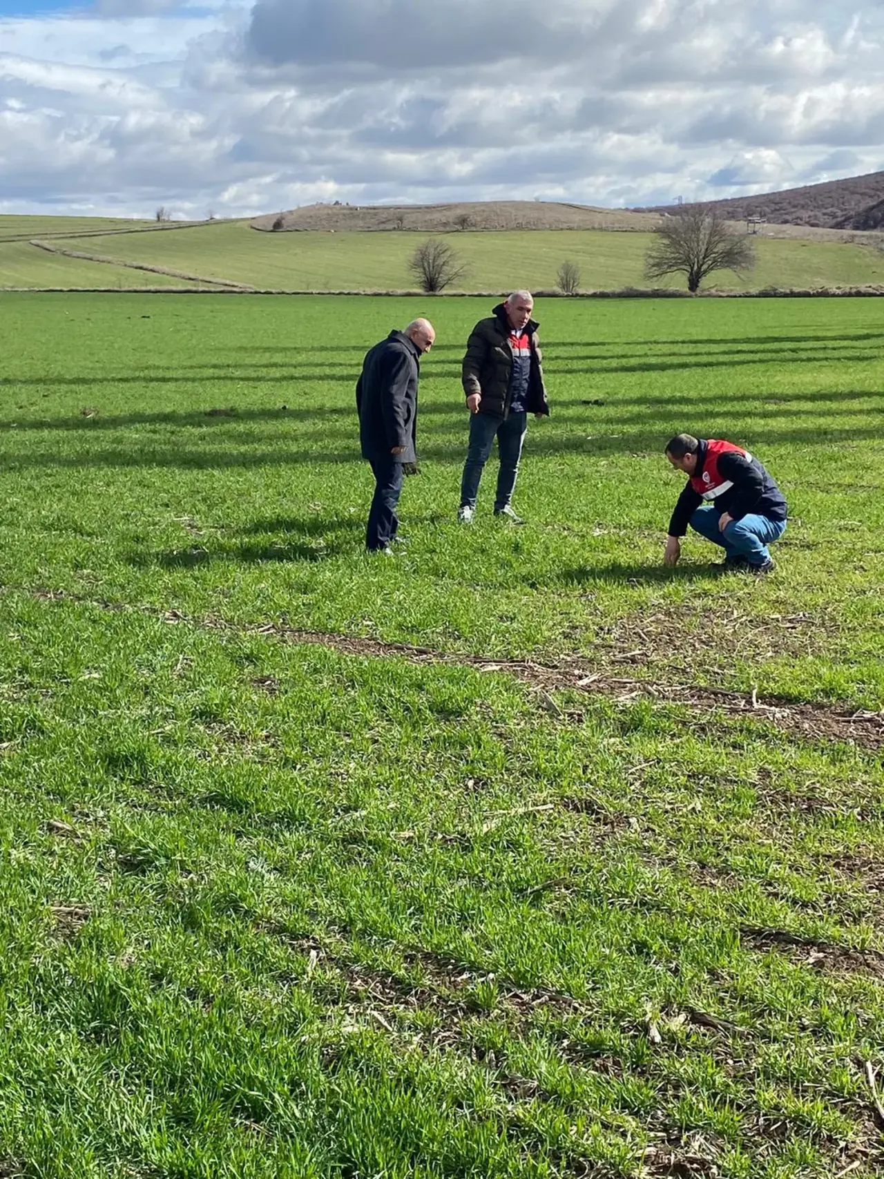 Hububat Alanlarında Hastalık Taraması 3