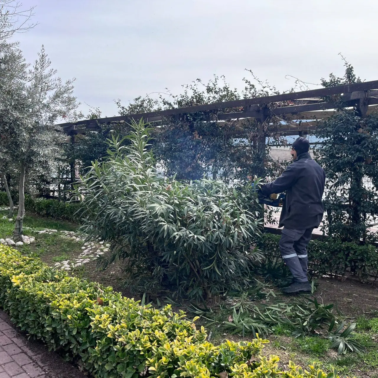 Yeşil Alan Ve Parklarda Bakım Çalışmaları Sürüyor 1