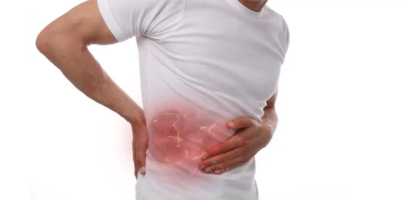 Sağlıklı Böbrekler İçin Sağlıklı Bir Çevre 1