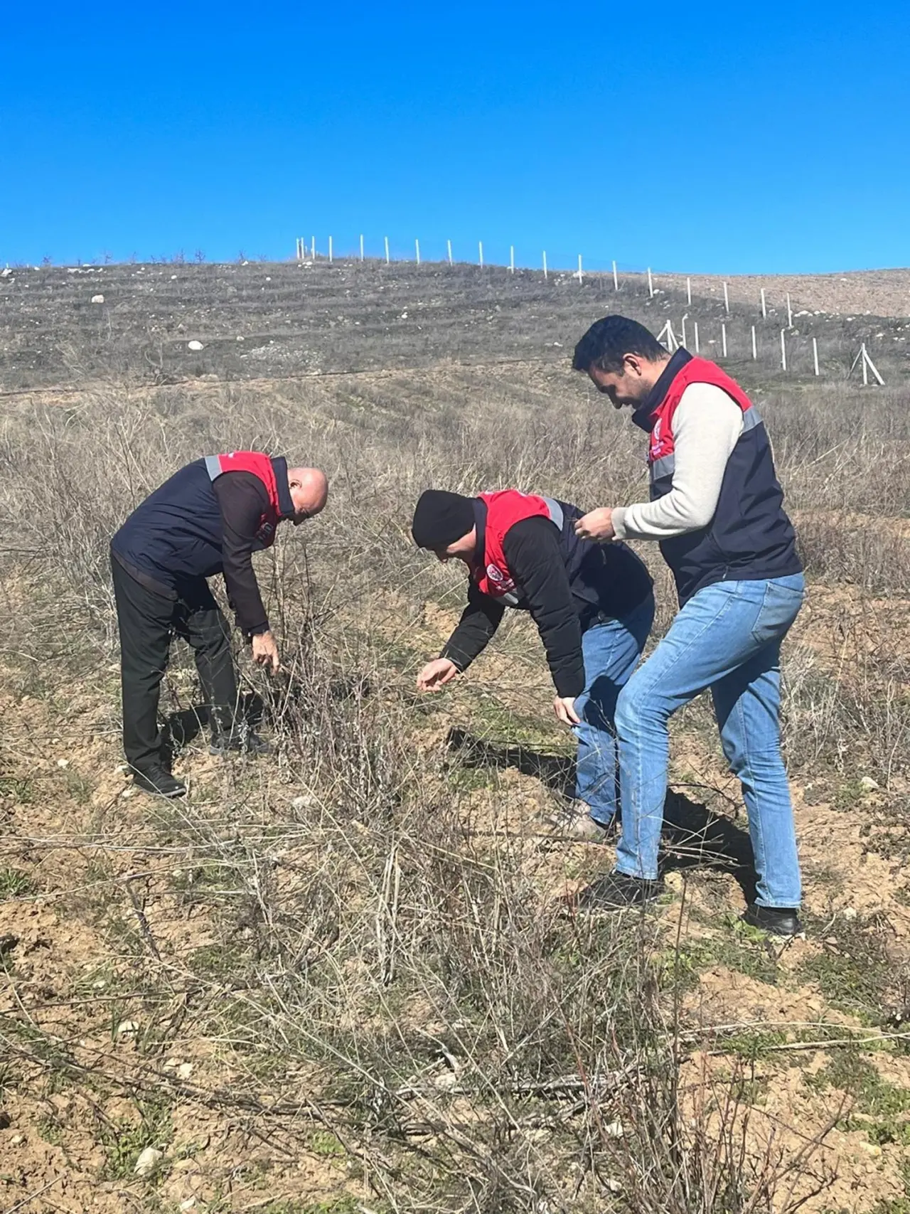 Aronya Üretimi Destekleniyor 1