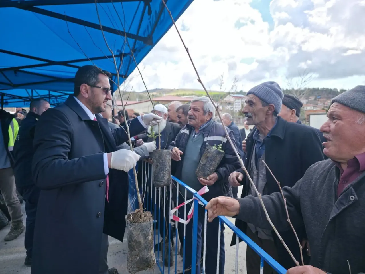 Bayat’ta 20 Bin Fidan Toprakla Buluştu 4