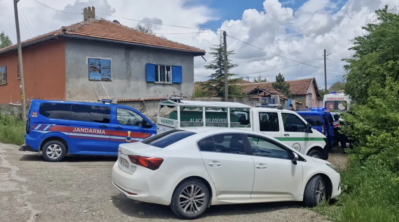 Yaşlı Adamın Sır Ölümü 2