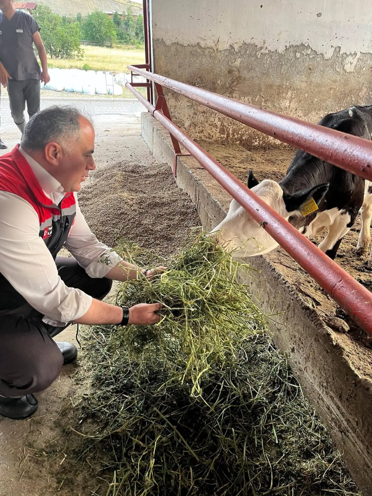 Hayvancılığa Yapay Zeka Dokunuşu 4