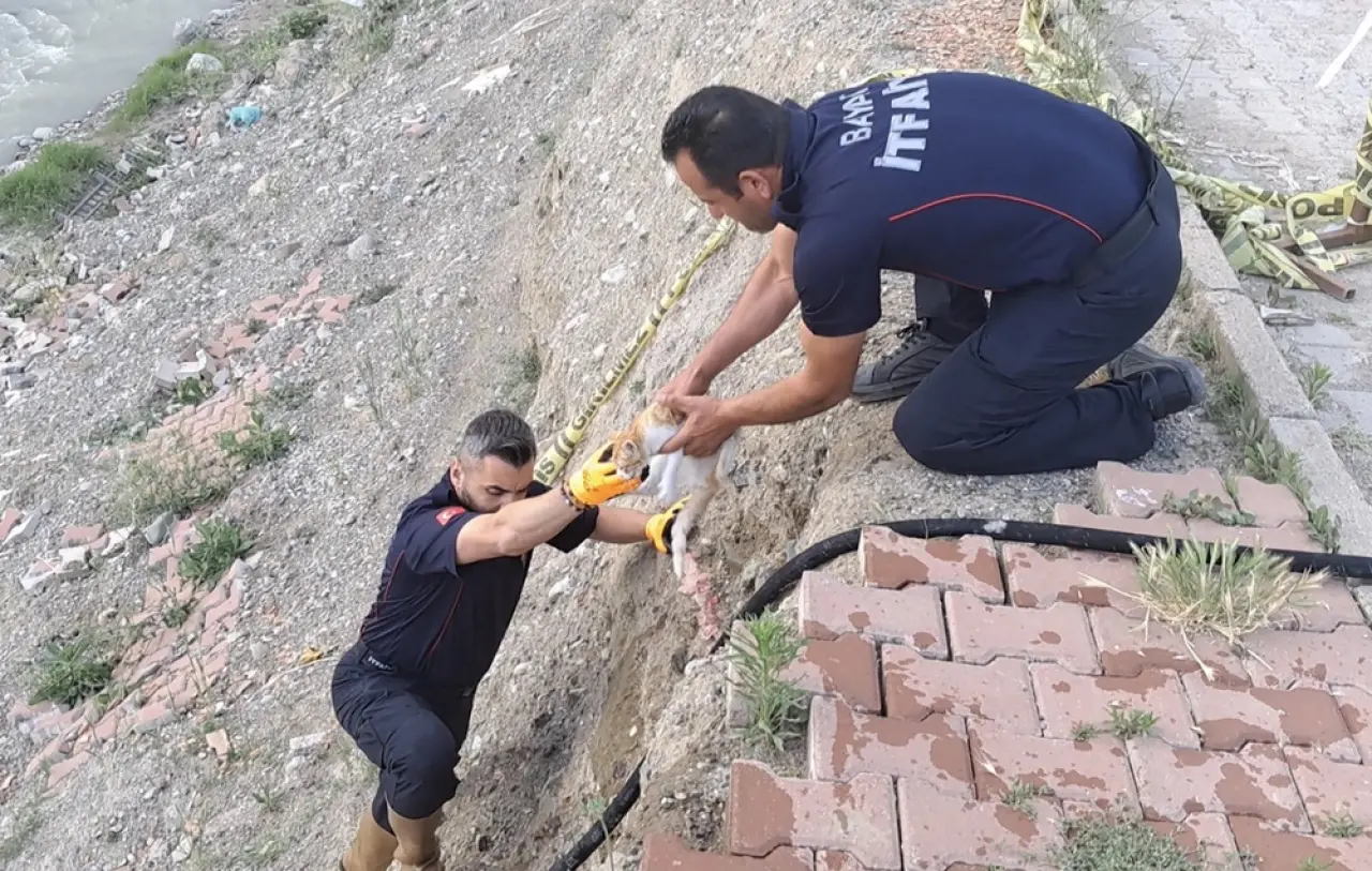 Çaya Düşen Kediyi İtfaiye Kurtardı 1