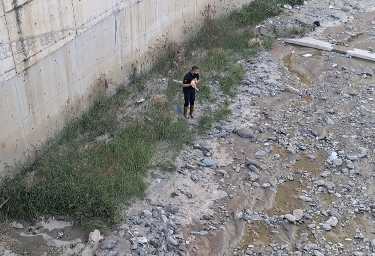 Çaya Düşen Kediyi İtfaiye Kurtardı 3