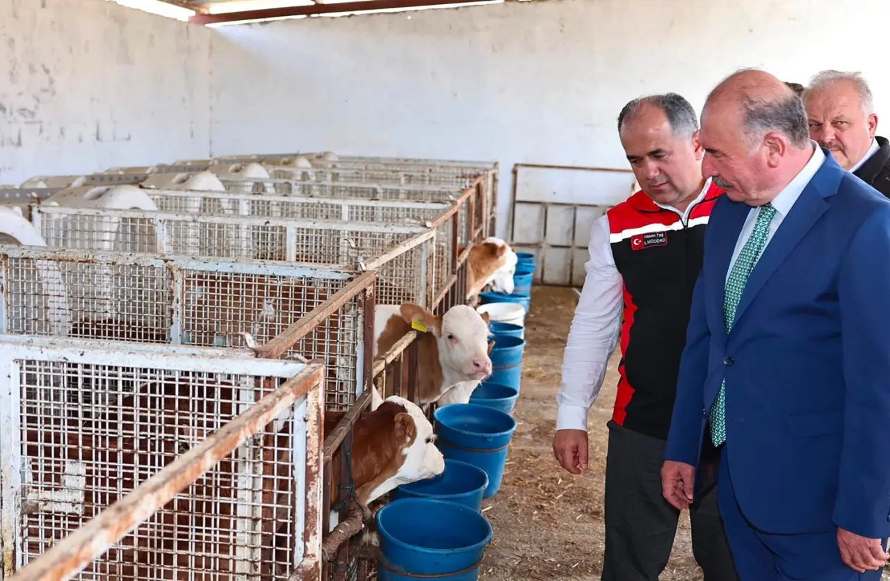 Vali Çalgan’dan Mecitözü Ziyareti 8