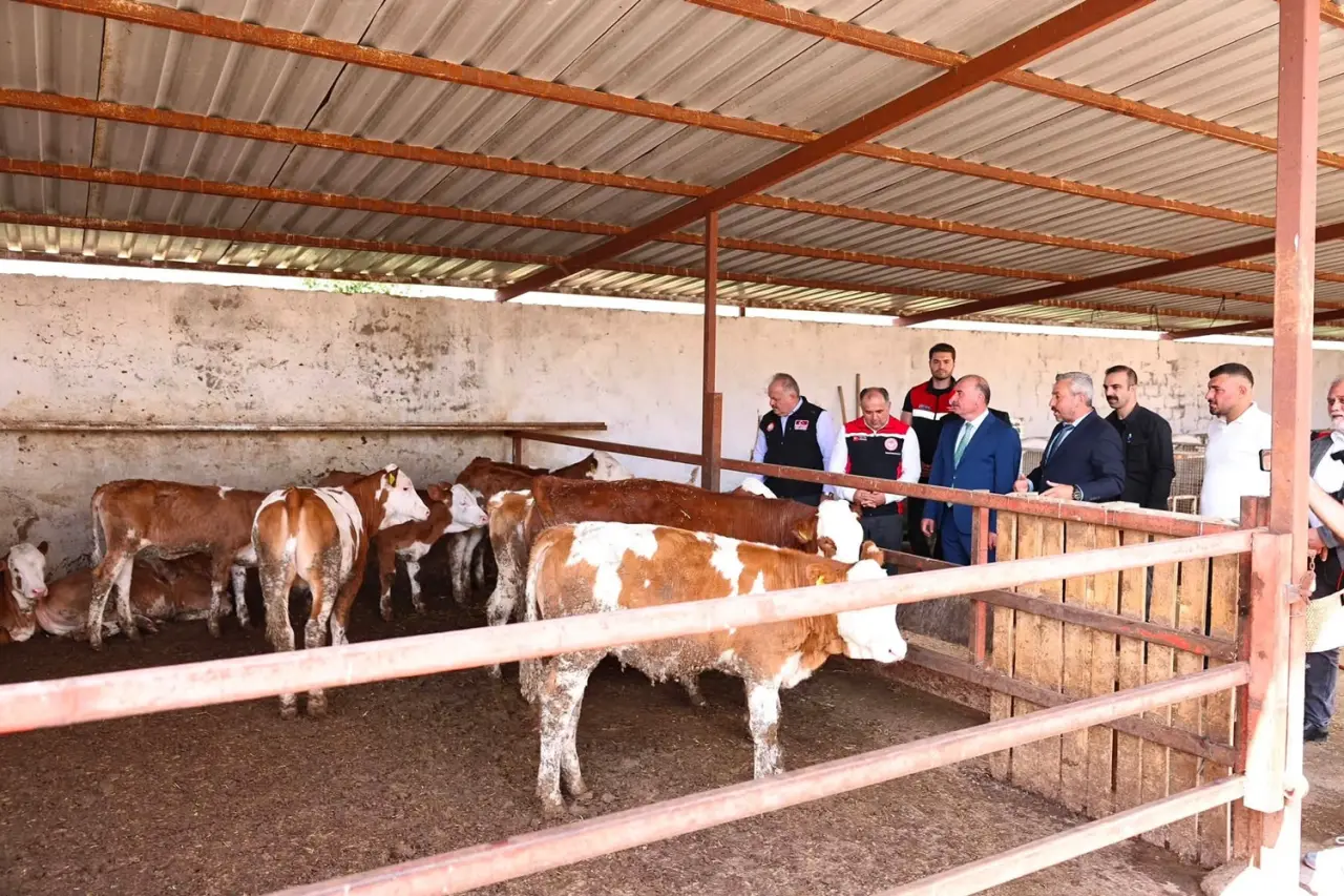 Vali Çalgan’dan Mecitözü Ziyareti 9