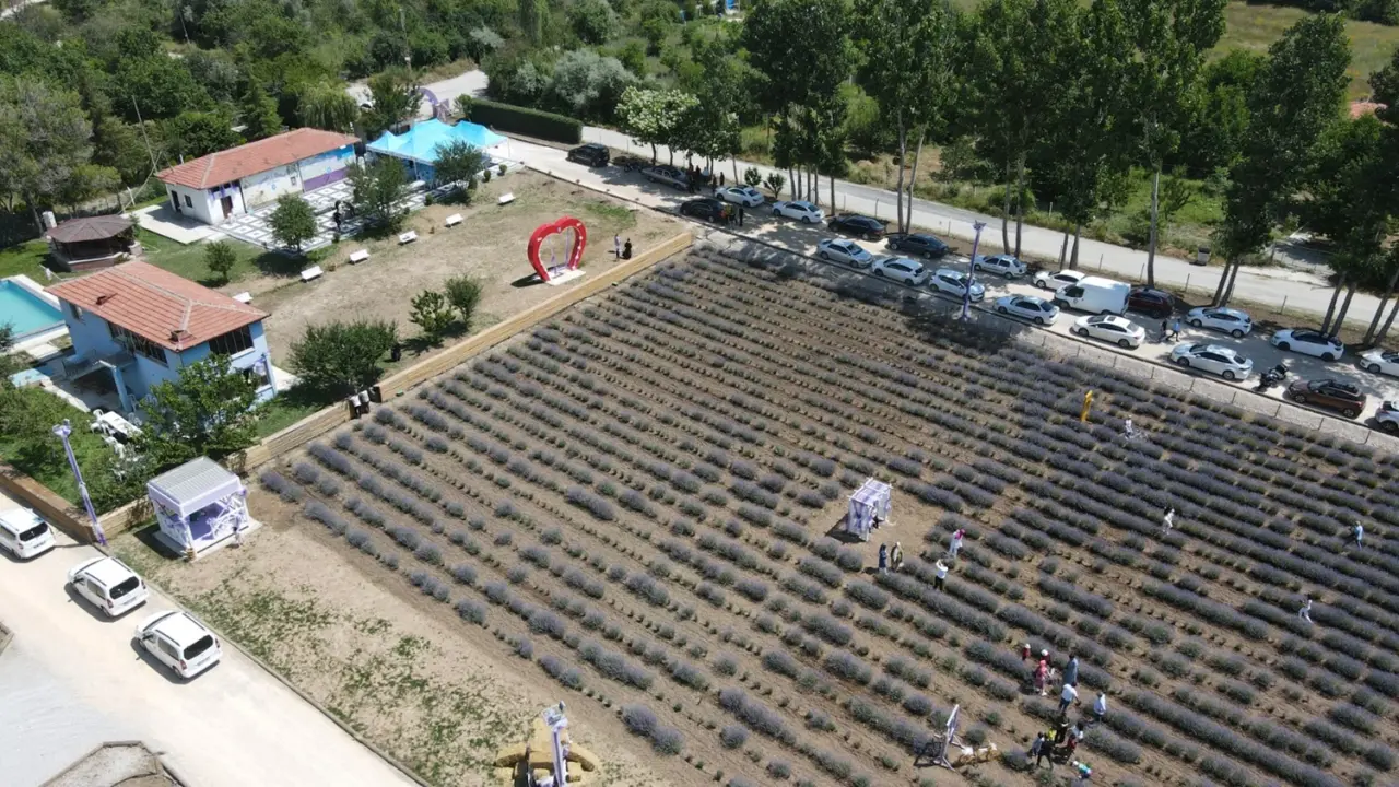 Mor Güzelliğe Ulaşım Artık Çok Daha Kolay 3