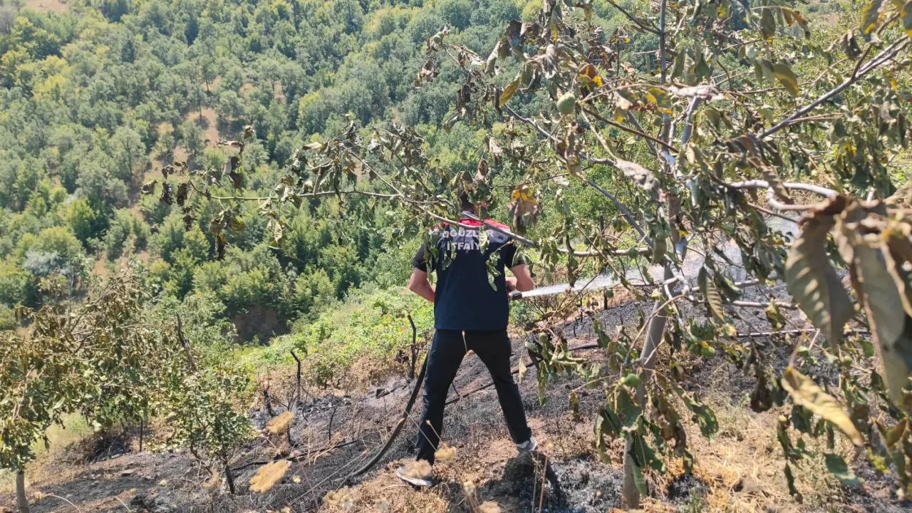Ceviz Bahçesinde Yangın Çıktı 1
