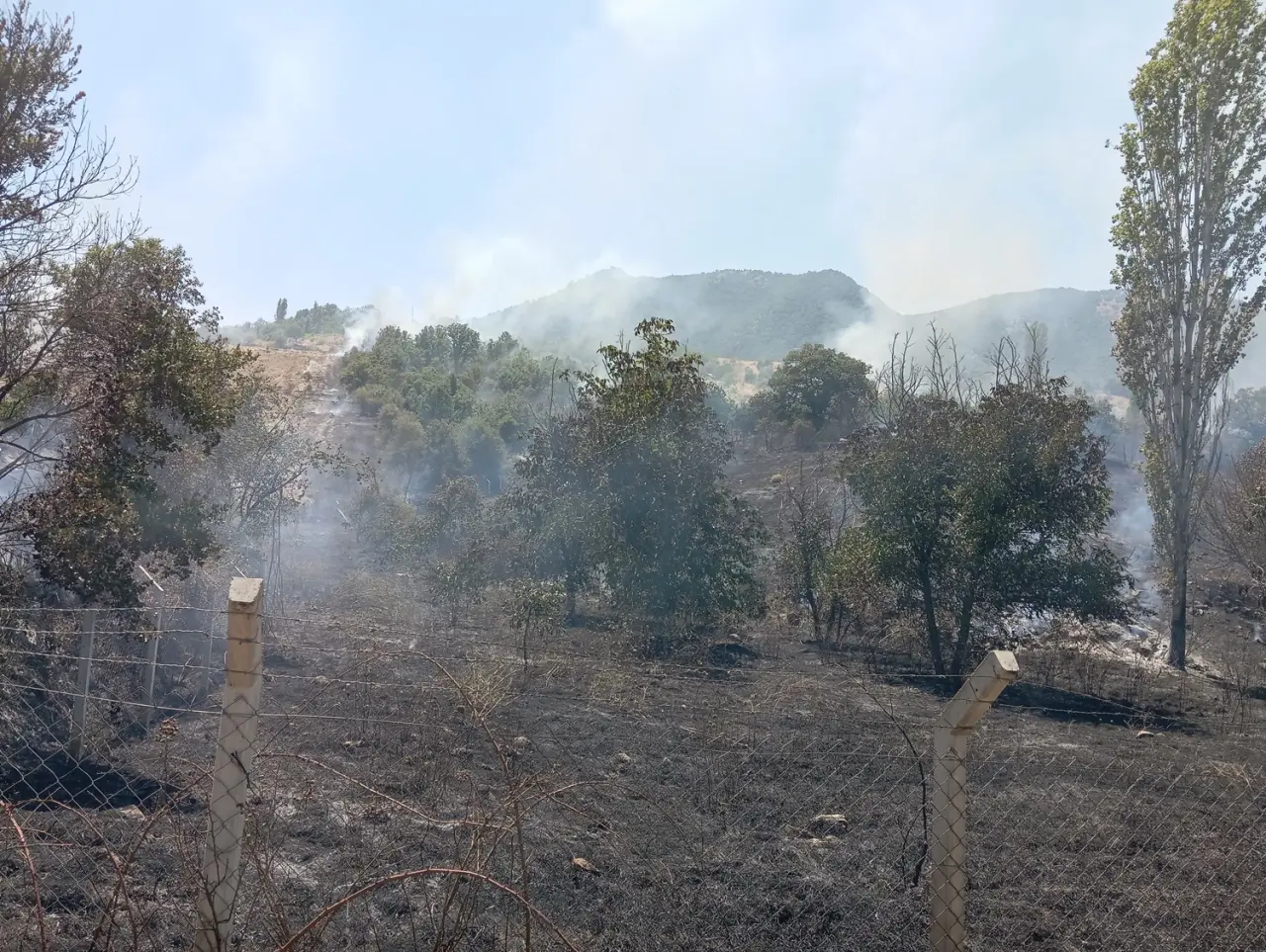 Ağaçlık Alana Sıçrayan Yangına Müdahale Edildi 1