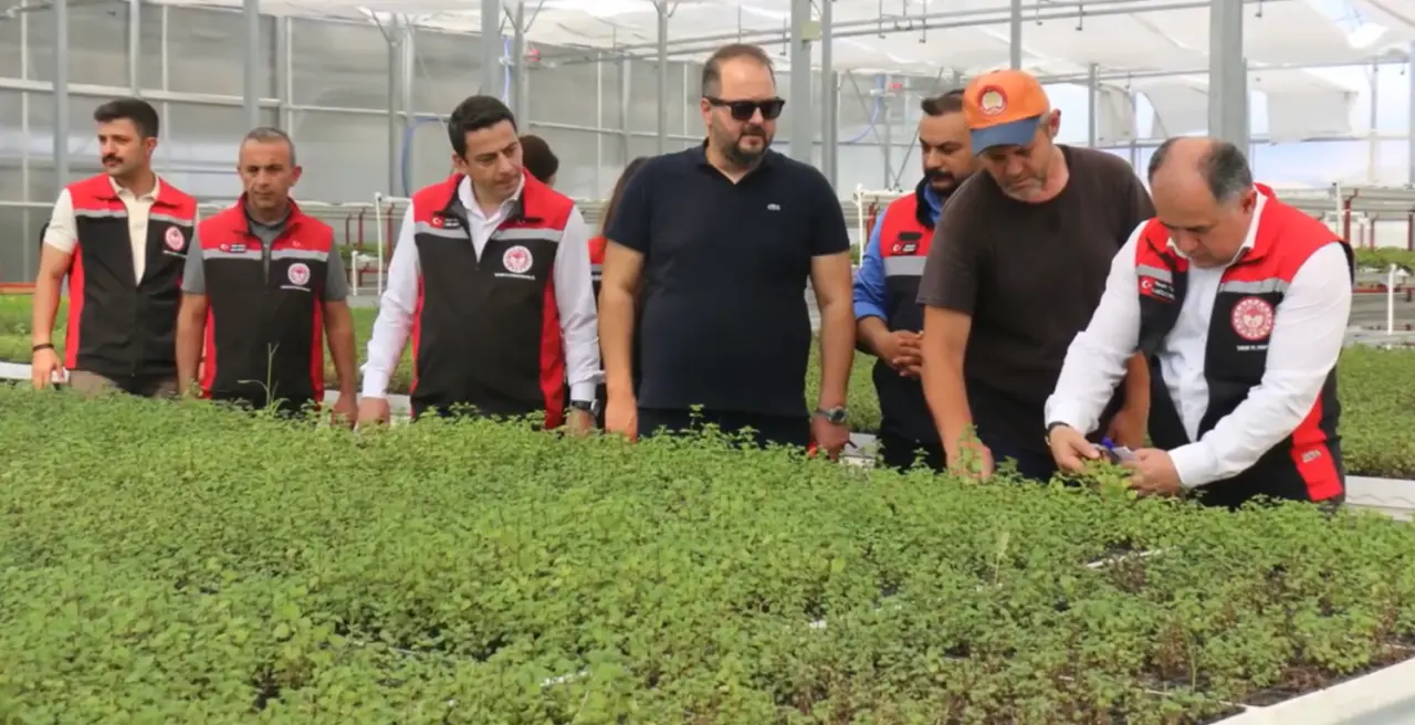 ‘Tıbbi Aromatik Bitkide Hedef Kapasite Artışı’ 1