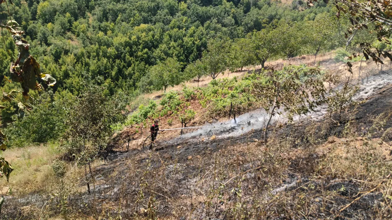 Ceviz Bahçesinde Yangın Çıktı 2