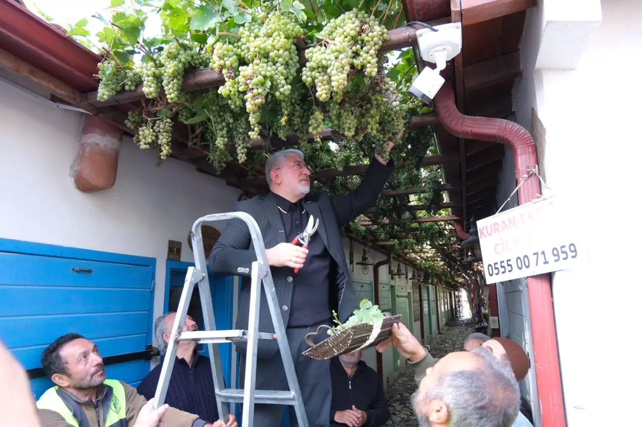 Dünyanın En Dar Arastasında Hasat Vakti 1