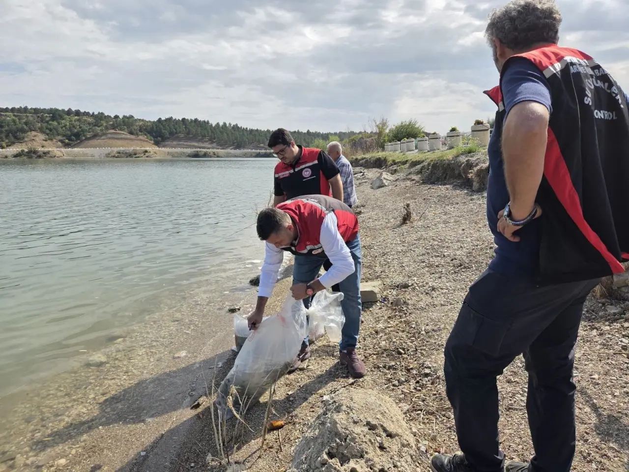Baraj ve Göletlere Balıklandırılıyor 3