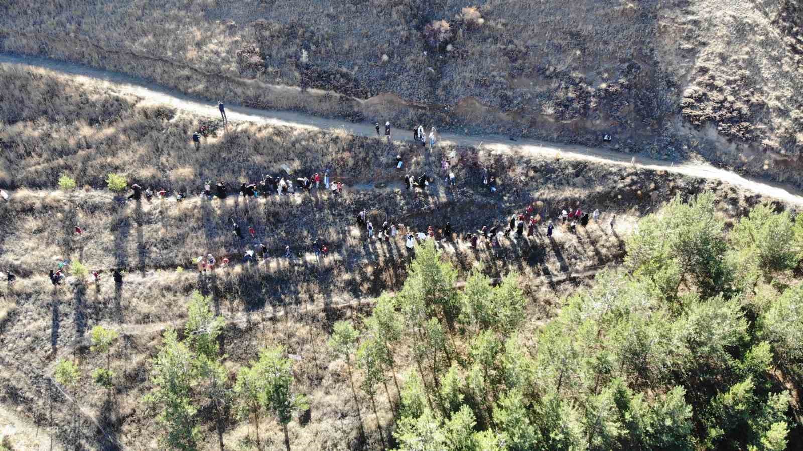 bayburtta-minik-eller-yesil-vatan-icin-fidan-dikti