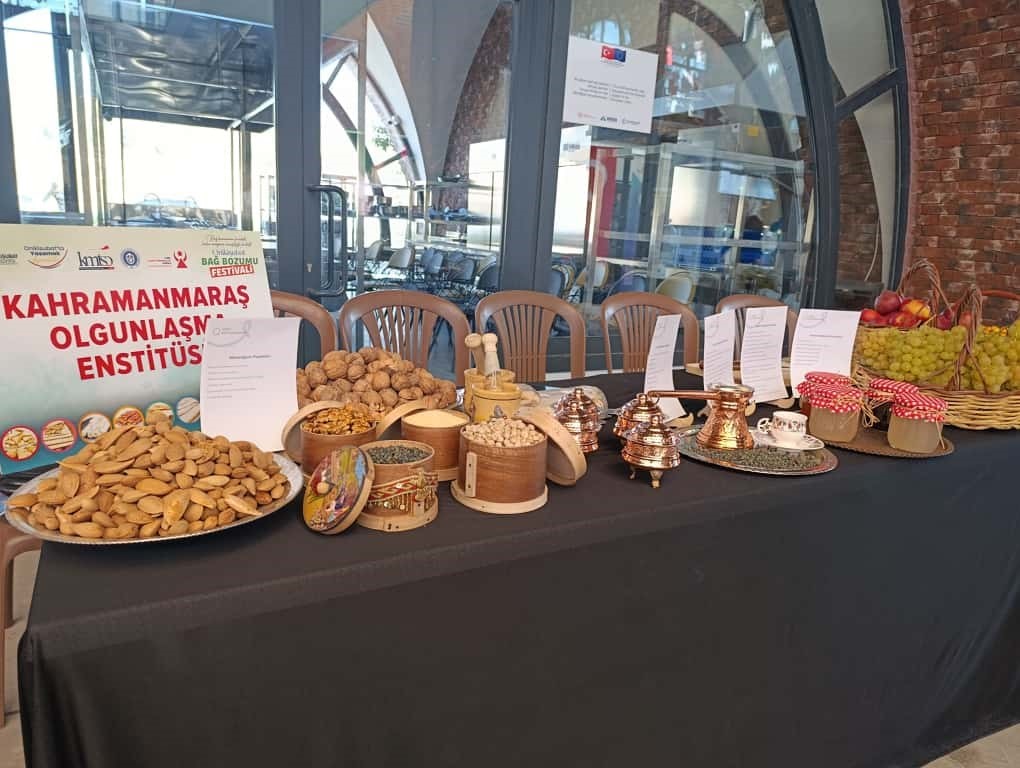 kahramanmarasta-geleneksel-bag-bozumu-festivali