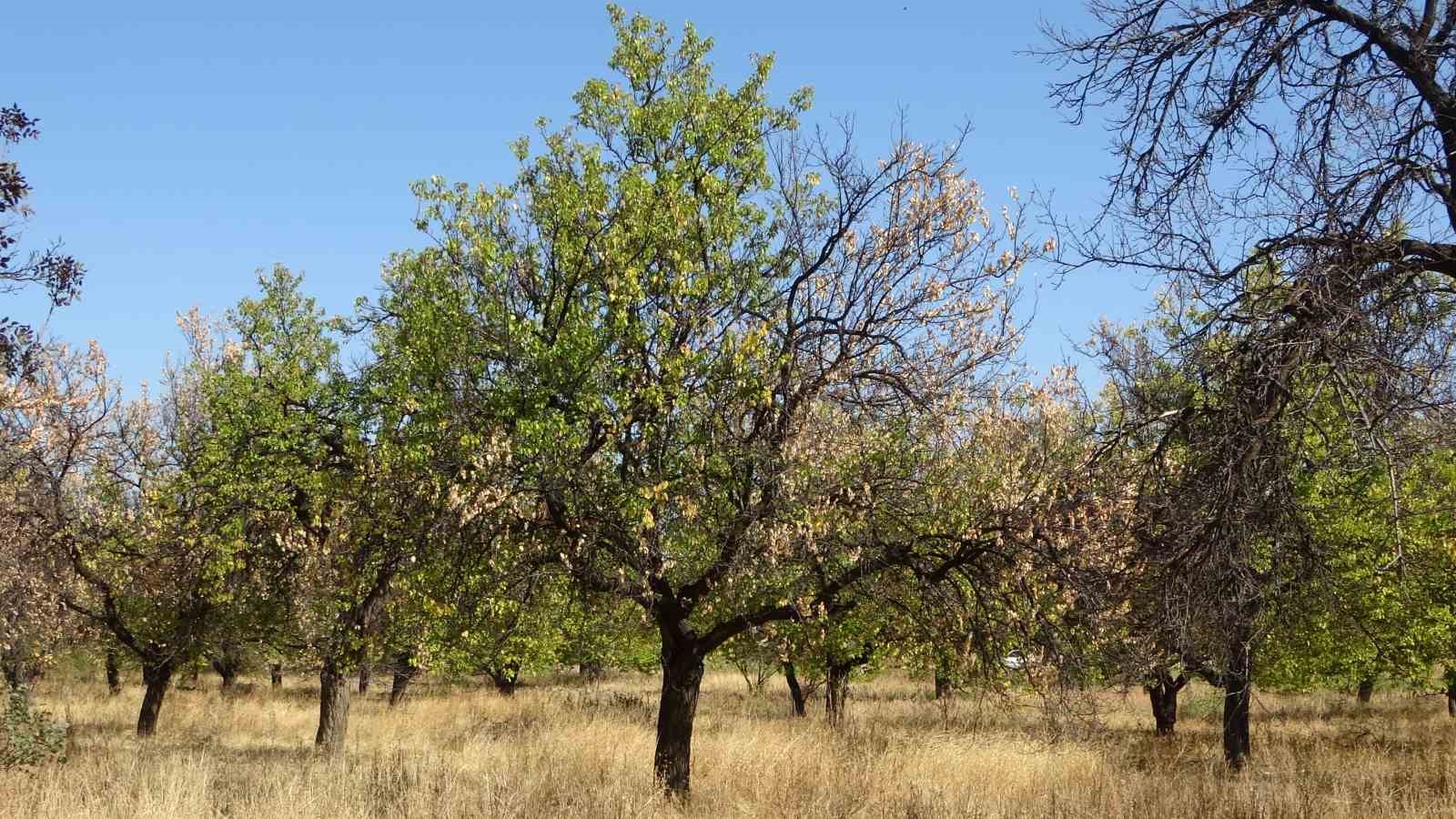 sulama-birliginden-gorme-engelli-ogretmene-icra-soku