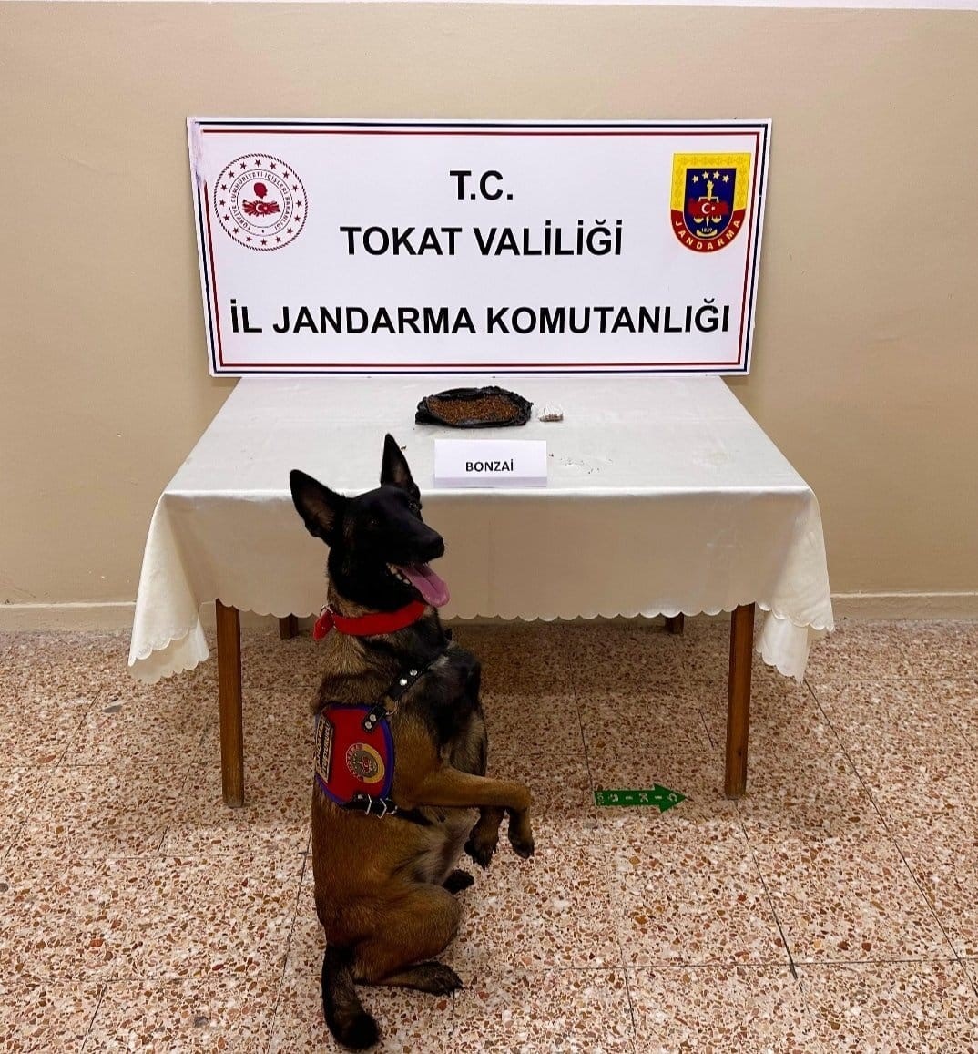 tokatta-jandarmadan-es-zamanli-uyusturucu-operasyonu-2-tutuklama
