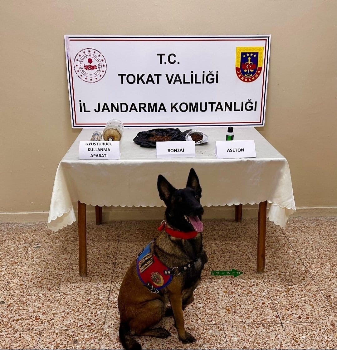 tokatta-jandarmadan-es-zamanli-uyusturucu-operasyonu-2-tutuklama