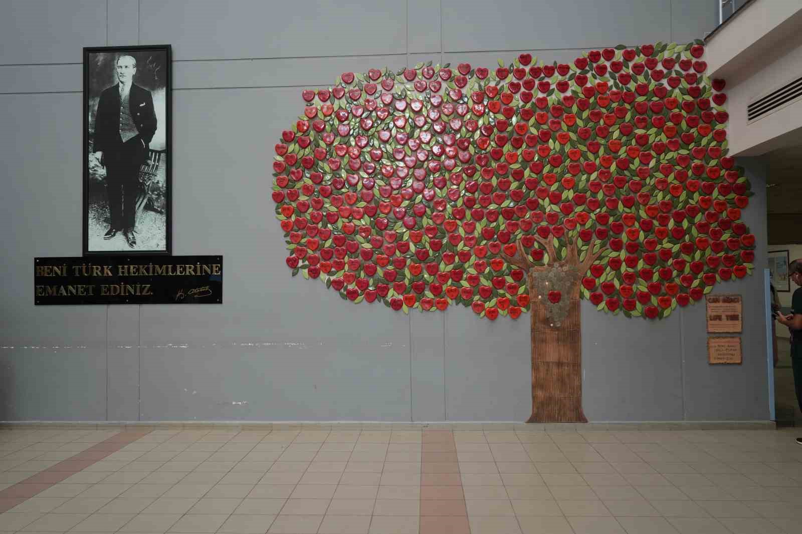 48-yildir-babasindan-ve-kiz-kardesinden-aldigi-bobreklerle-yasiyor