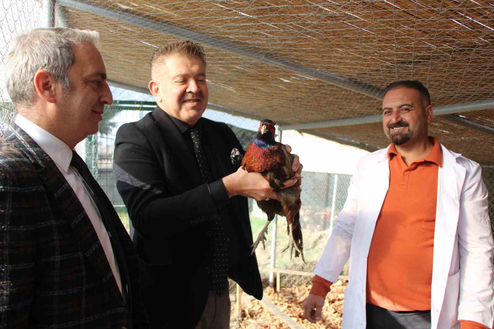 amasyada-universiteliler-sulun-yetistiriyor