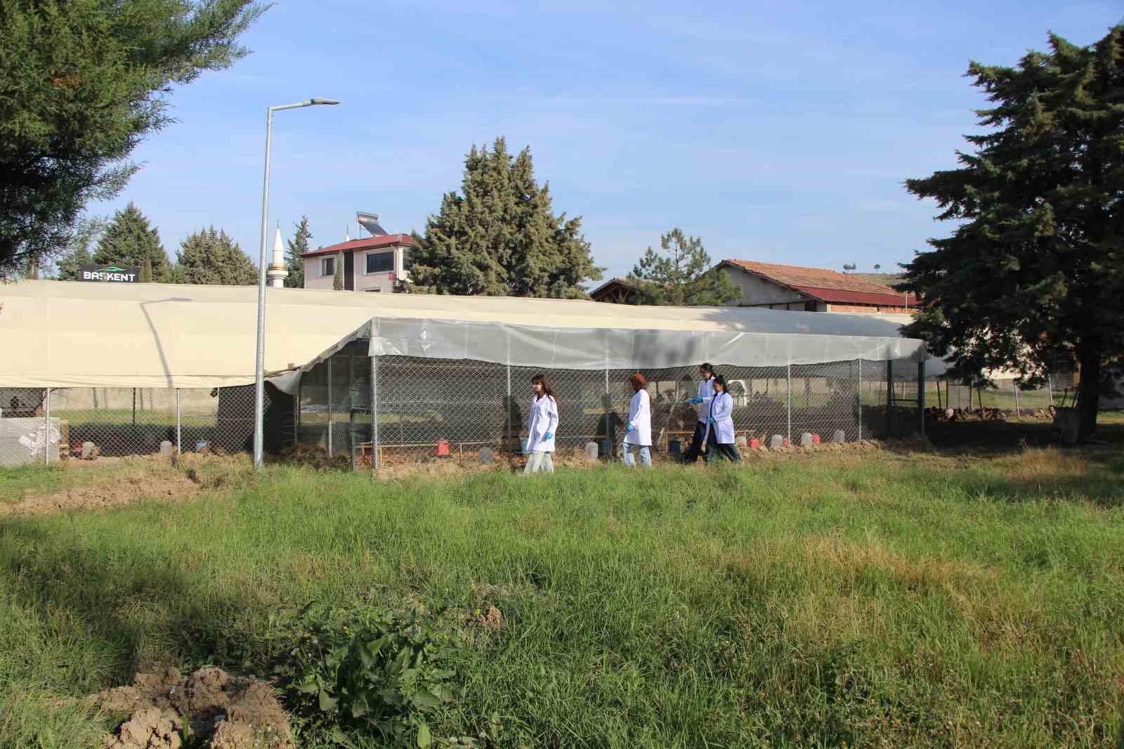 amasyada-universiteliler-sulun-yetistiriyor