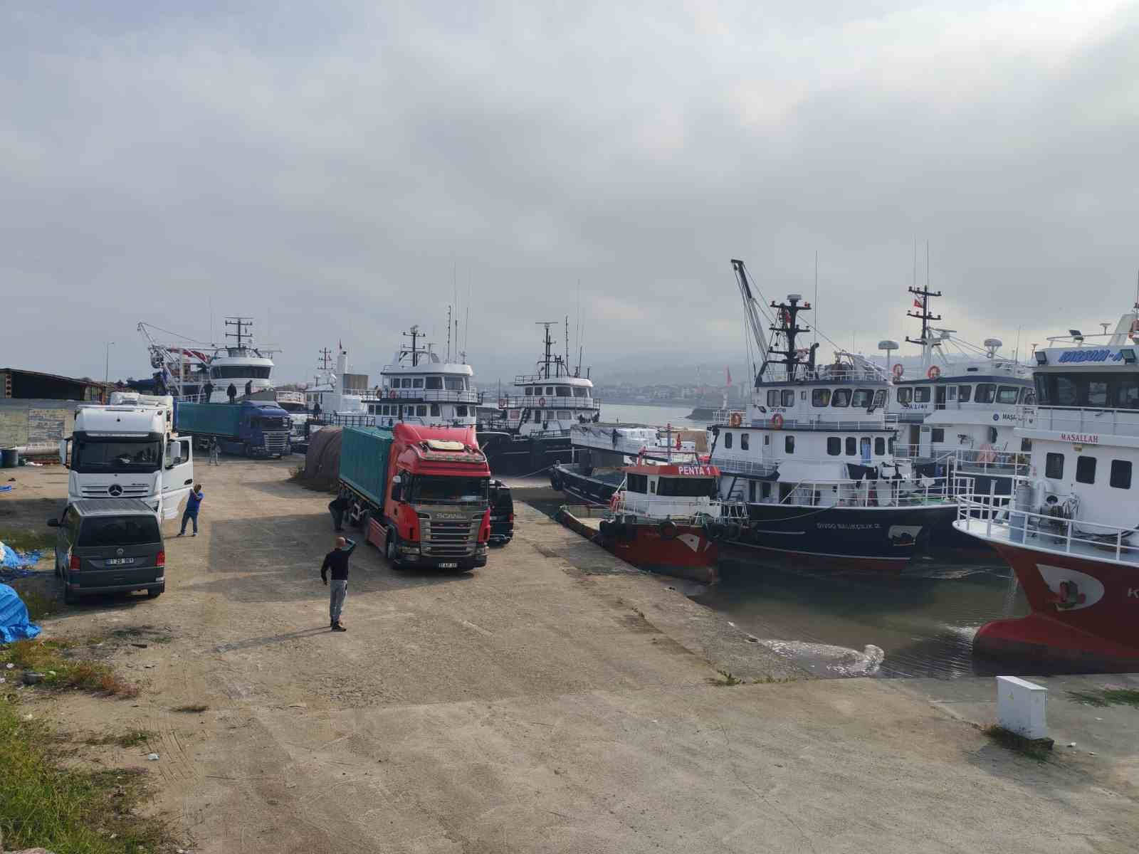 arakli-limaninda-hafta-sonu-hamsi-yogunlugu