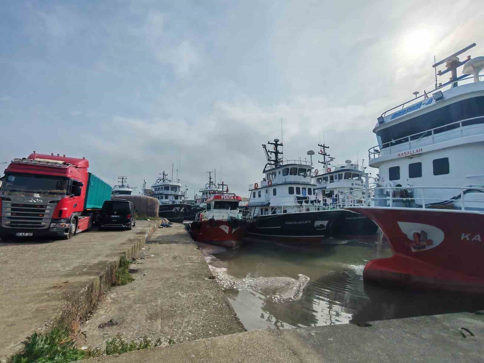 arakli-limaninda-hafta-sonu-hamsi-yogunlugu