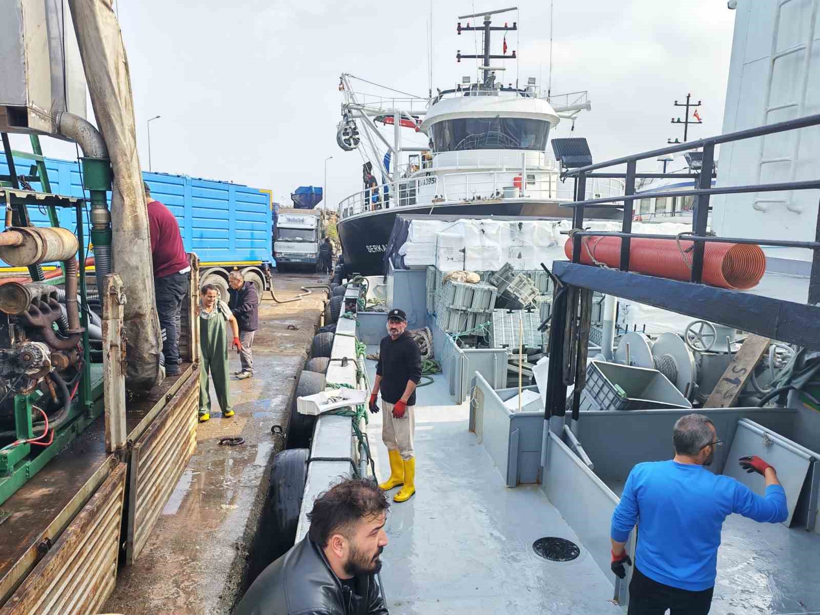 arakli-limaninda-hafta-sonu-hamsi-yogunlugu