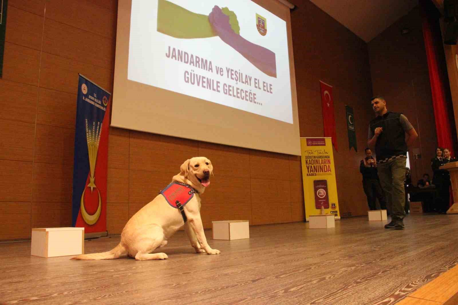 aydinda-gencler-icin-siddetsiz-ve-bagimsiz-gelecek-bulusmasi-gerceklestirildi