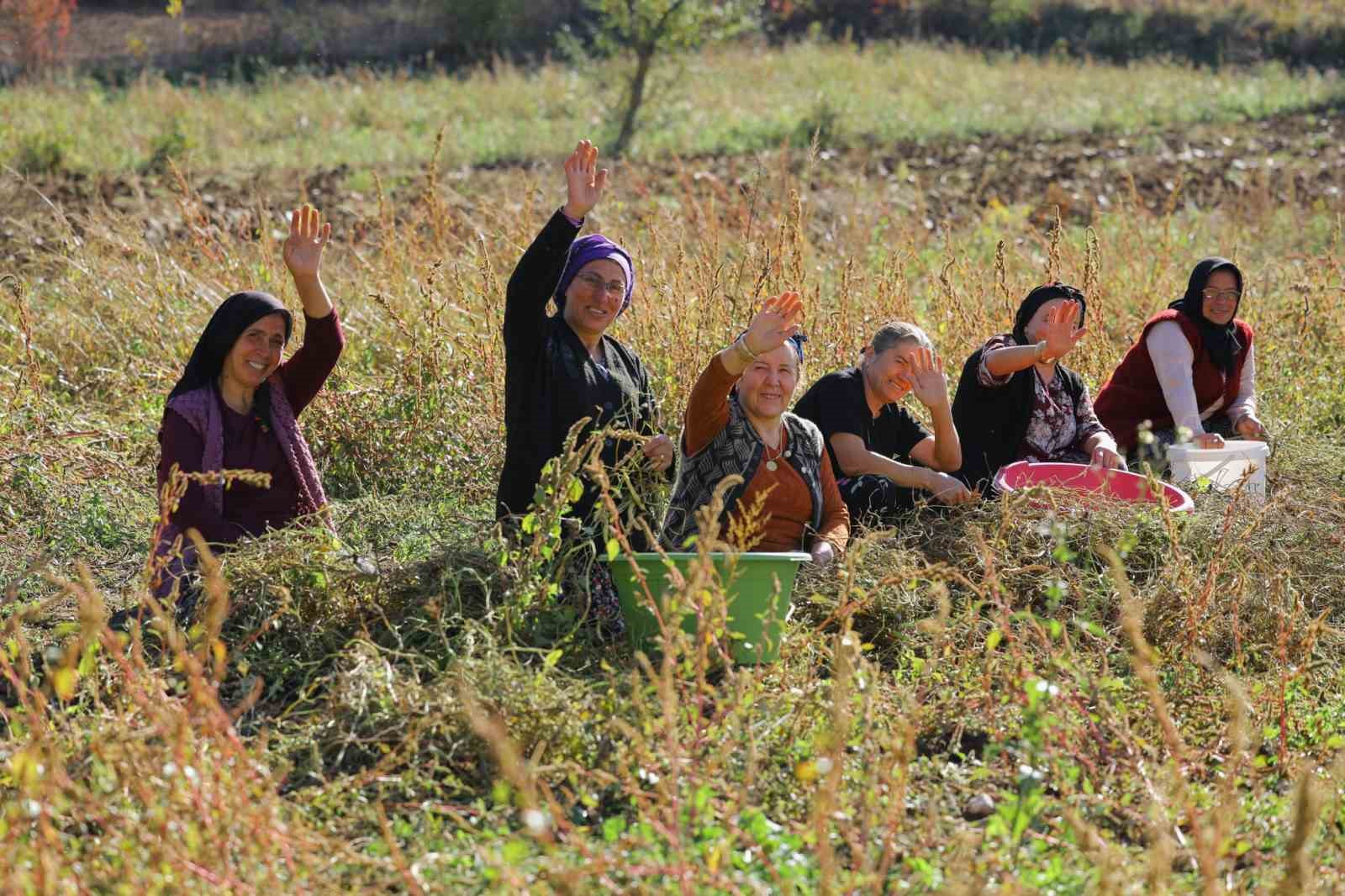 baskan-dogan-tarimsal-uretimde-surdurulebilirligi-hedefliyoruz