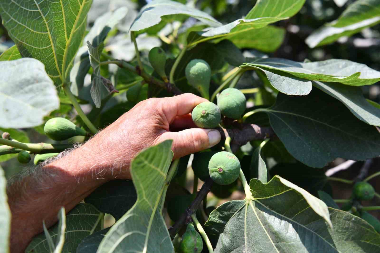 baskan-dogan-tarimsal-uretimde-surdurulebilirligi-hedefliyoruz