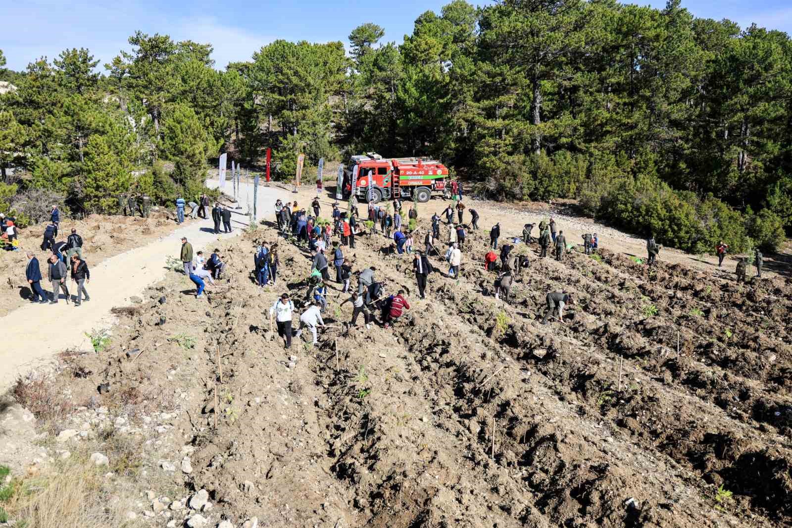 camelide-11-kasim-milli-agaclandirma-gunu-kapsaminda-fidanlar-toprakla-bulustu