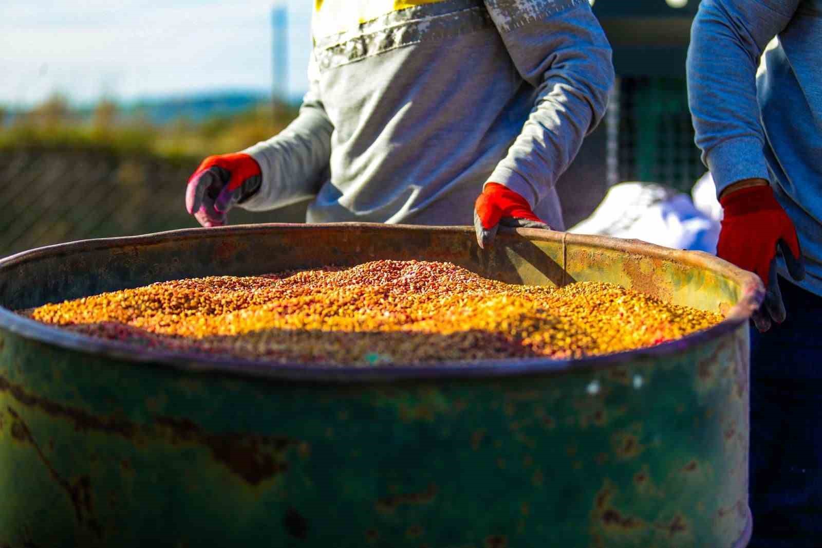 didim-belediyesi-yerel-kalkinma-icin-kollari-sivadi