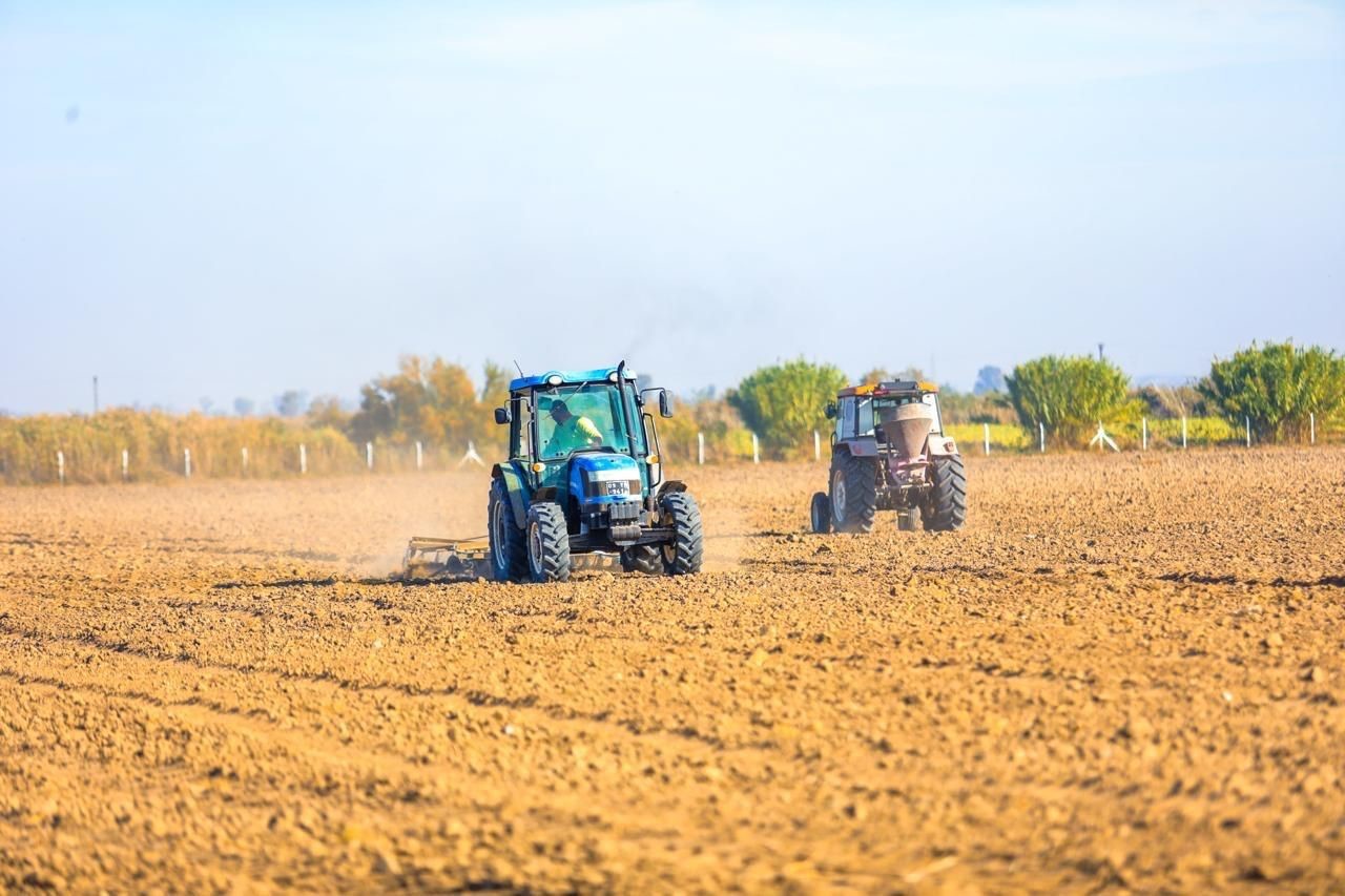 didim-belediyesi-yerel-kalkinma-icin-kollari-sivadi