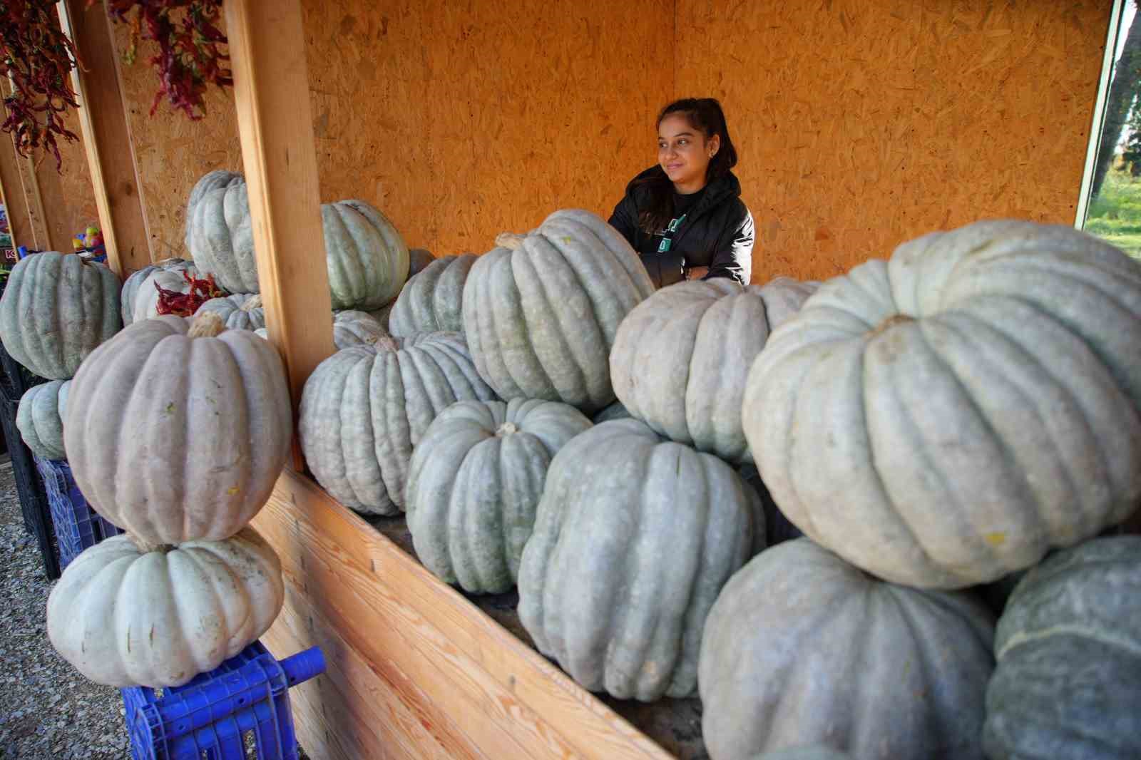 edirneli-ureticiler-ata-tohumundan-urettikleri-urunleri-millet-bahcesinde-satisa-sunuyor