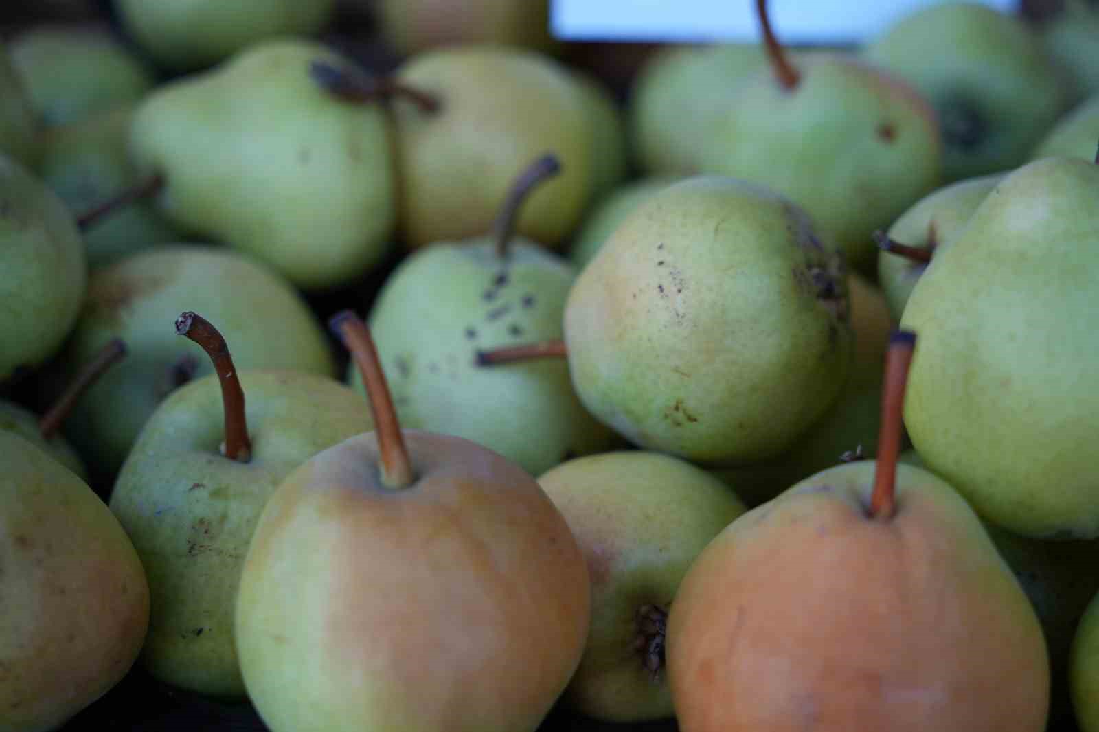 edirneli-ureticiler-ata-tohumundan-urettikleri-urunleri-millet-bahcesinde-satisa-sunuyor