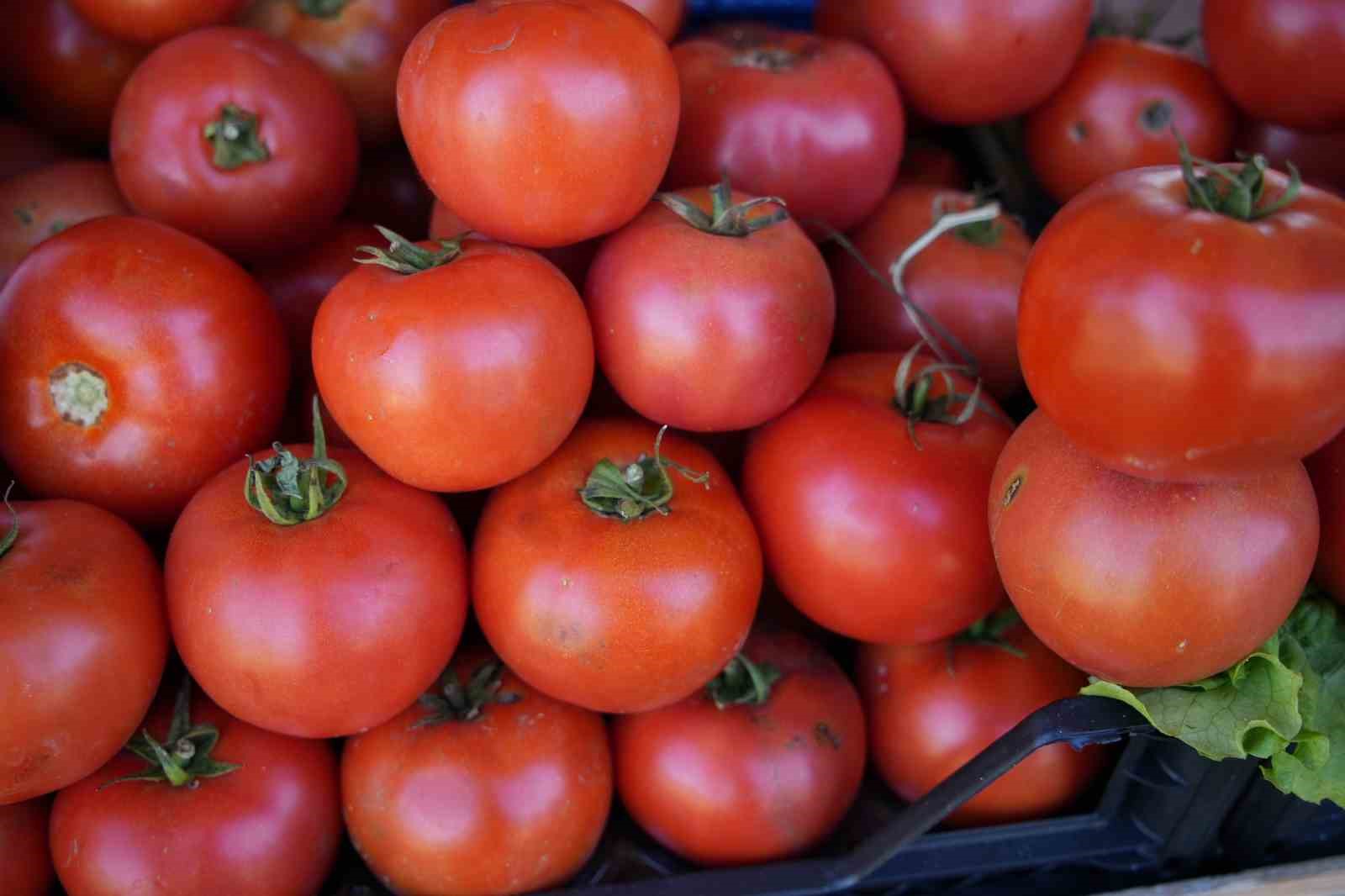 edirneli-ureticiler-ata-tohumundan-urettikleri-urunleri-millet-bahcesinde-satisa-sunuyor