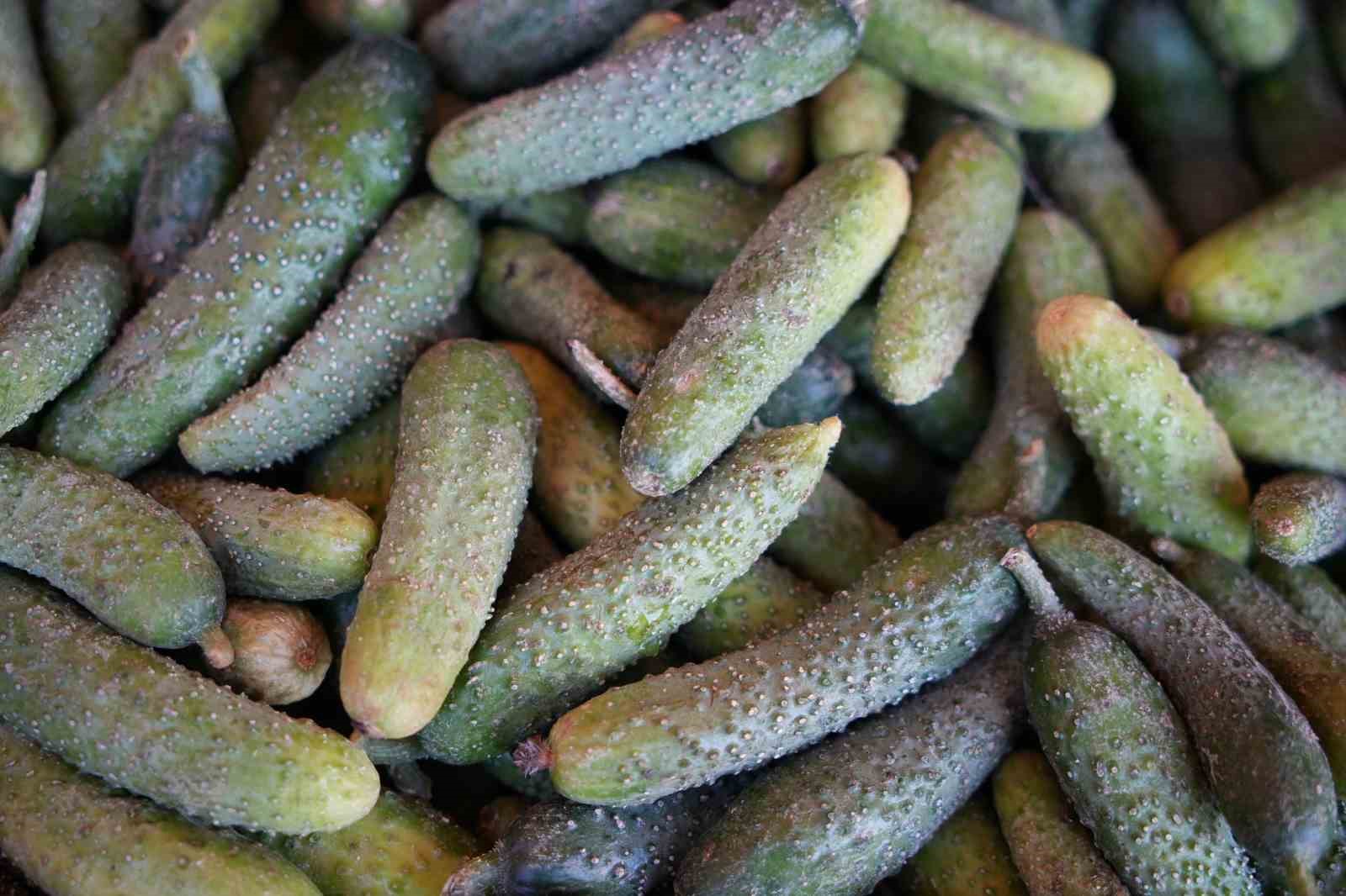 edirneli-ureticiler-ata-tohumundan-urettikleri-urunleri-millet-bahcesinde-satisa-sunuyor