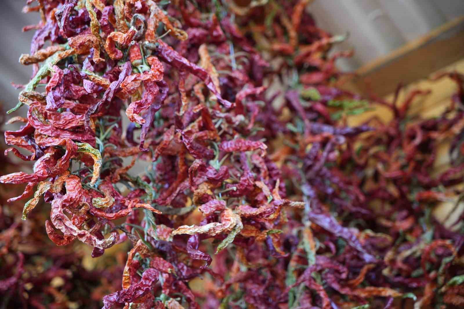 edirneli-ureticiler-ata-tohumundan-urettikleri-urunleri-millet-bahcesinde-satisa-sunuyor