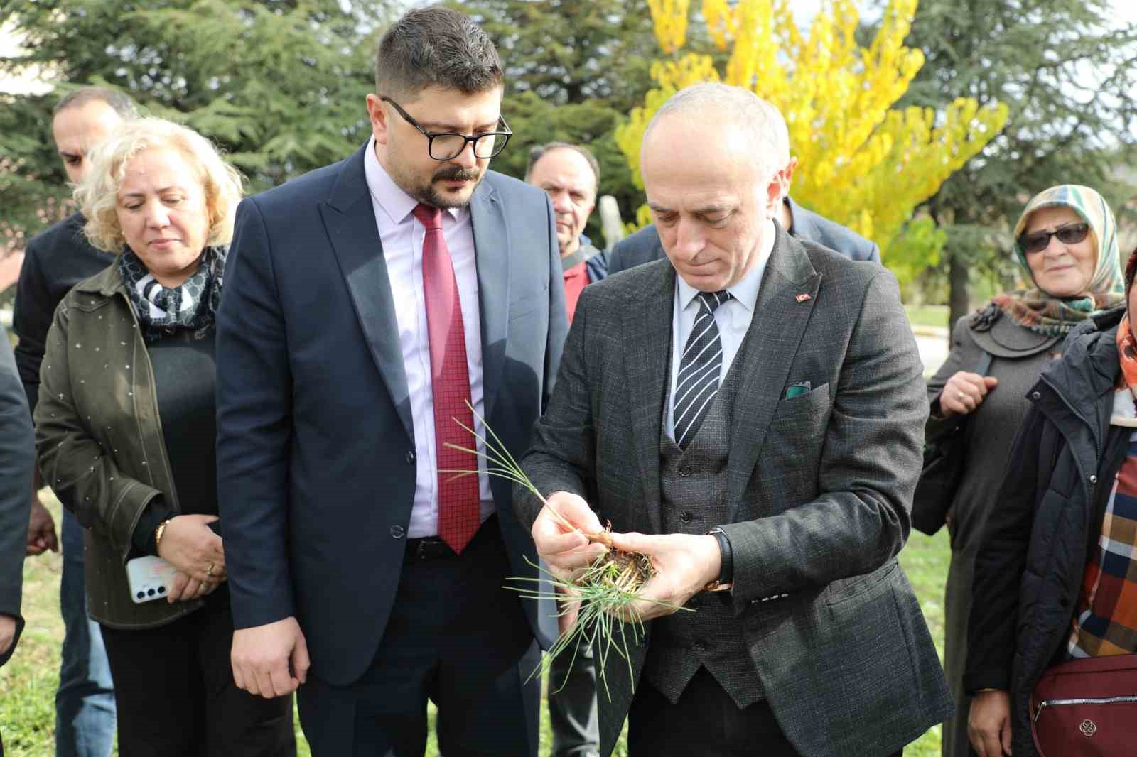 eskisehir-safran-uretiminde-birincilik-yolunda