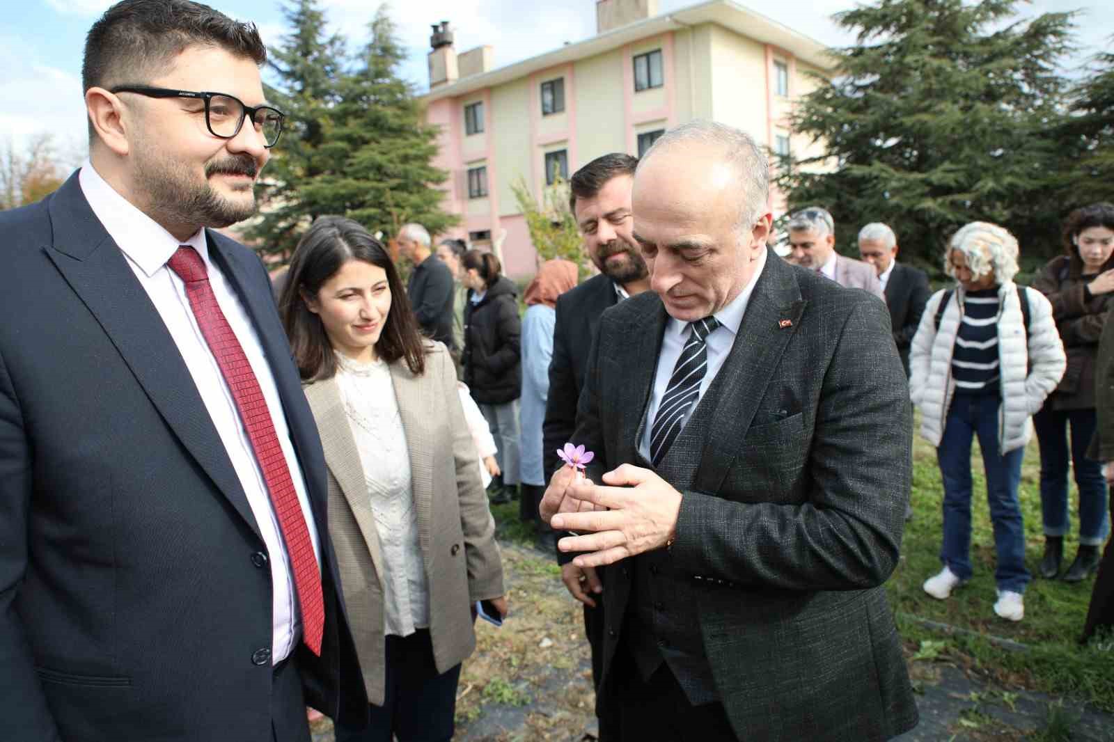 eskisehir-safran-uretiminde-birincilik-yolunda